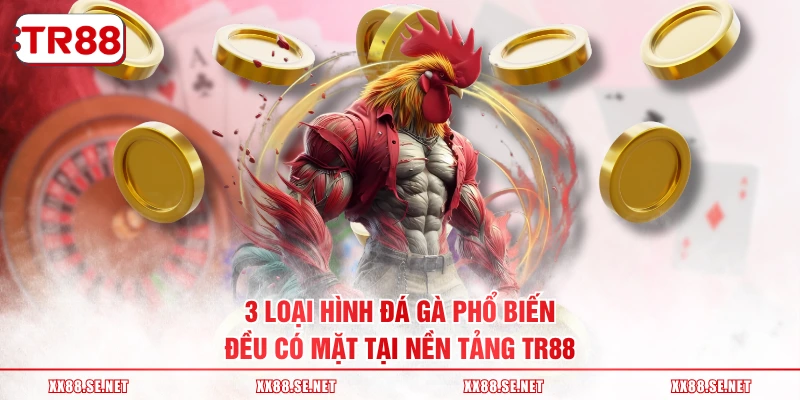 3 loại hình đá gà phổ biến đều có mặt tại nền tảng TR88