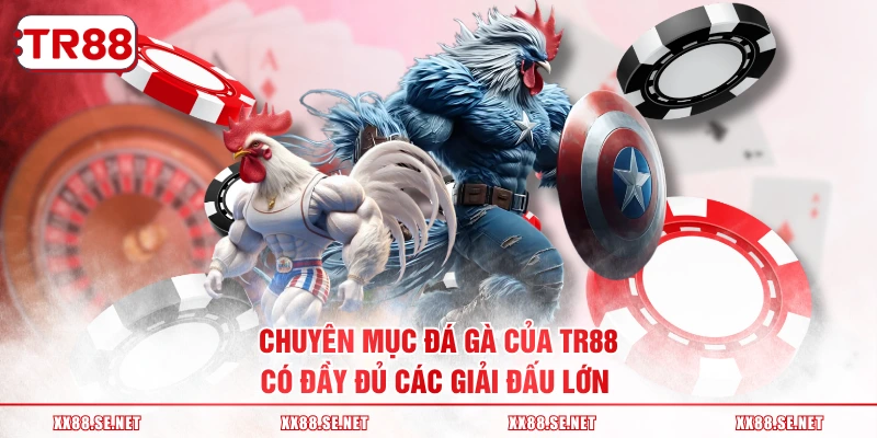 Chuyên mục đá gà của TR88 có đầy đủ các giải đấu lớn 