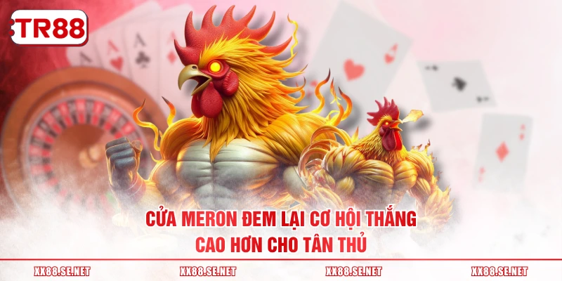 Cửa meron đem lại cơ hội thắng cao hơn cho tân thủ