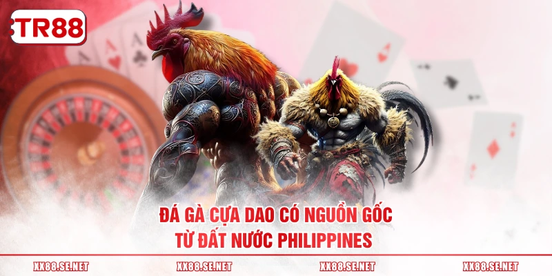 Đá gà cựa dao có nguồn gốc từ đất nước Philippines 