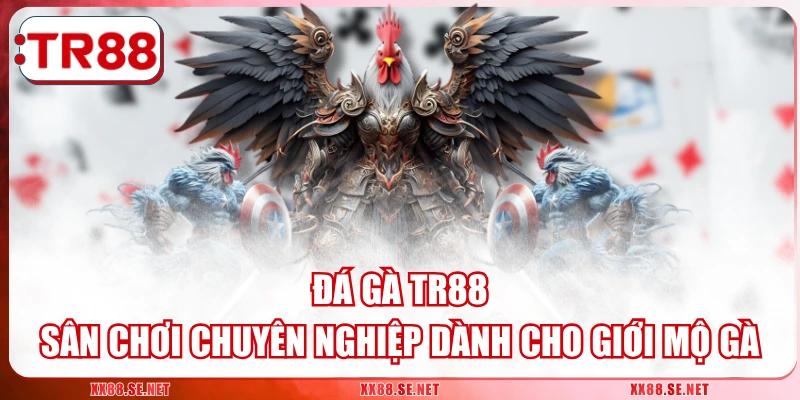 Đá Gà TR88 - Sân Chơi Chuyên Nghiệp Dành Cho Giới Mộ Gà