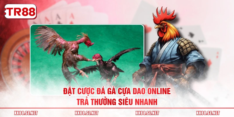 Đặt cược đá gà cựa dao online trả thưởng siêu nhanh