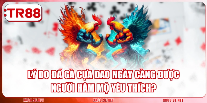 Đá Gà Cựa Dao