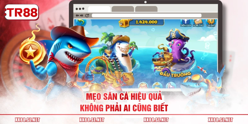 Mẹo săn cá hiệu quả không phải ai cũng biết