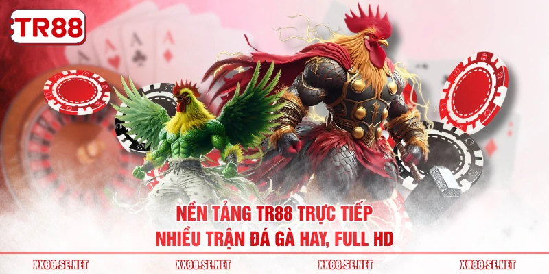 Nền tảng TR88 trực tiếp nhiều trận đá gà hay, full HD